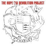 PJ Harvey ? The H ope Six Demolition Project (jake-sya)(HSU-10072) 1